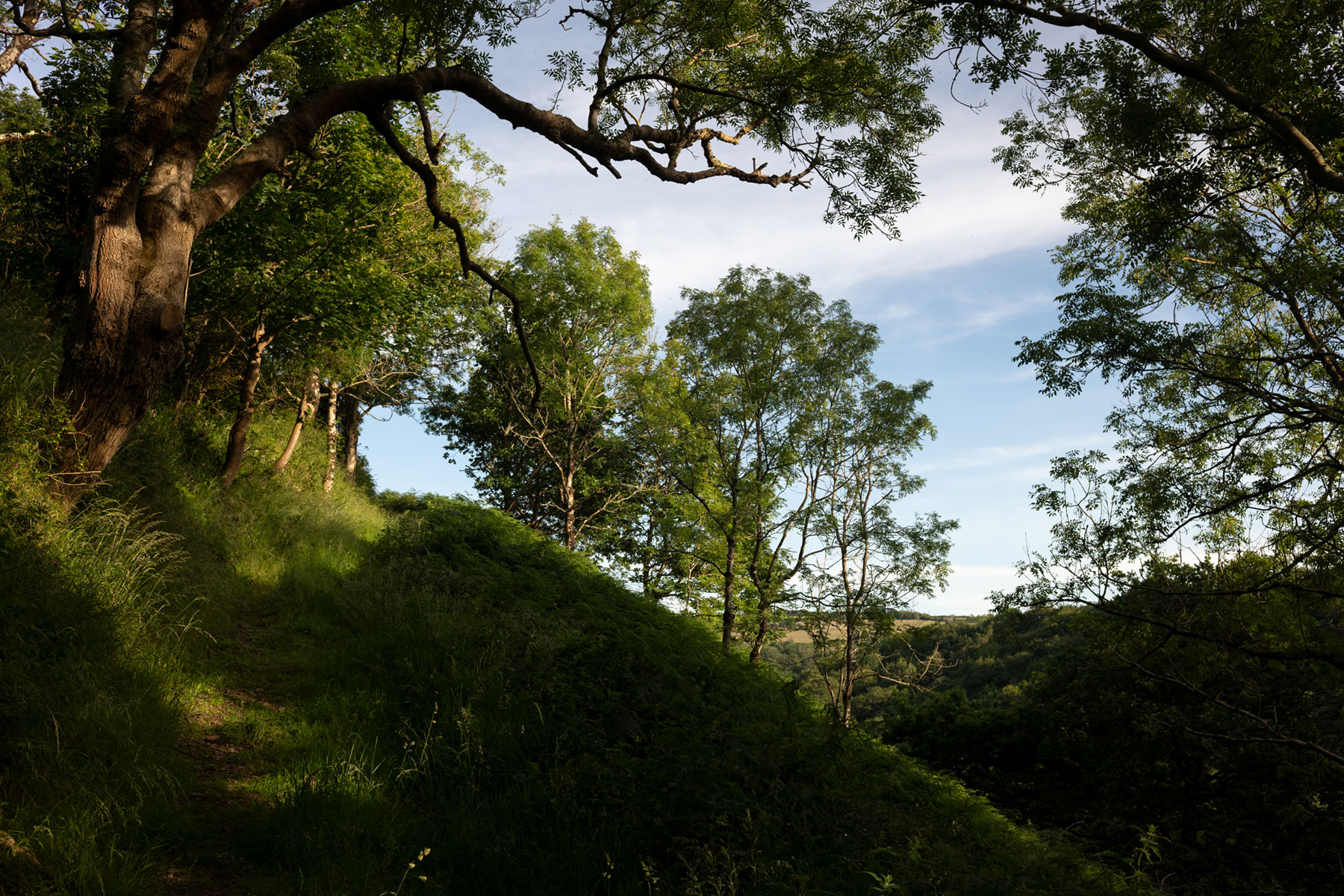 Photography by Ian Watts